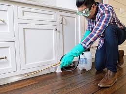 Best Residential Pest Control  in Choccolocco, AL